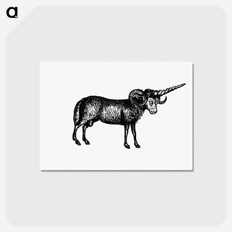 アートポストカード-Victorian Goat Engraving
 - 大英図書館 Postcard.