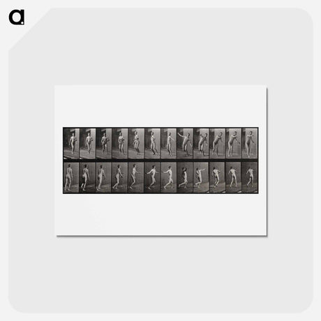 アートポストカード-Bowling
 - エドワード マイブリッジ Postcard.