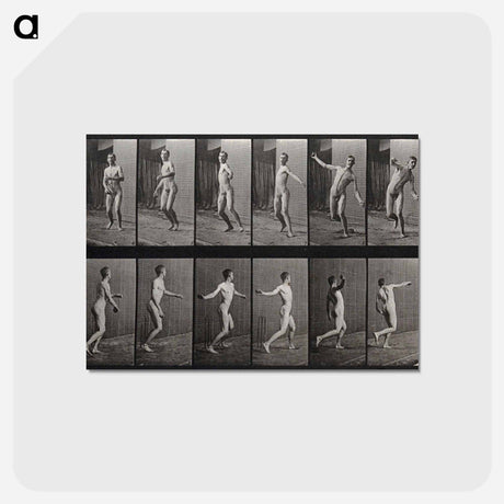 アートポストカード-Bowling
 - エドワード マイブリッジ Postcard.