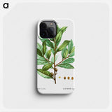 Bay laurel - Pierre Joseph Redouté Phone Case.