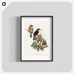 アートポスター-Little Colluricincla
 - オーストラリアの鳥 Poster.