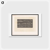 アートポストカード-Woman Dressing
 - エドワード マイブリッジ Postcard.