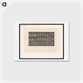アートポストカード-Woman Dressing
 - エドワード マイブリッジ Postcard.