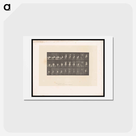 アートポストカード-Woman Dressing
 - エドワード マイブリッジ Postcard.