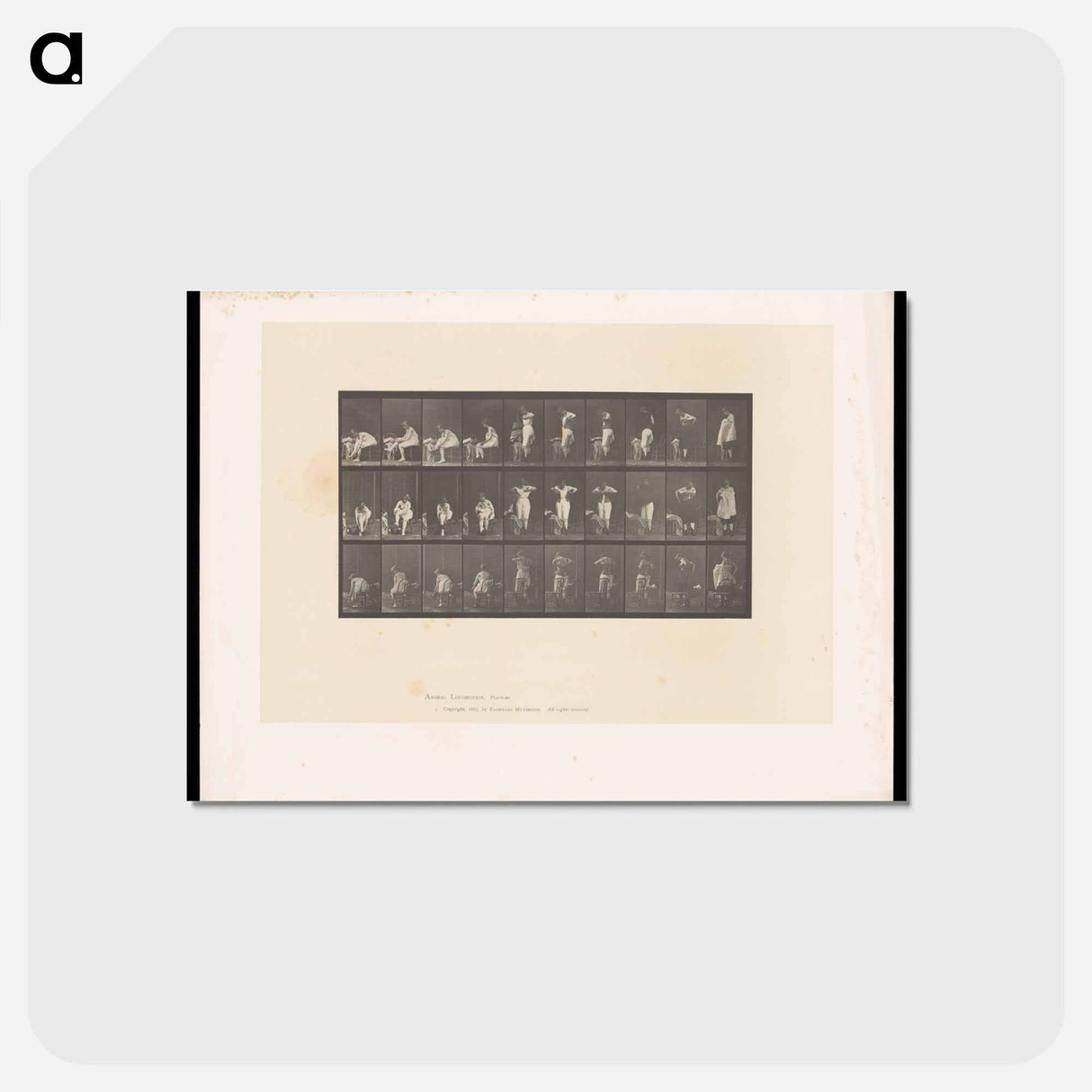 アートポストカード-Woman Dressing
 - エドワード マイブリッジ Postcard.