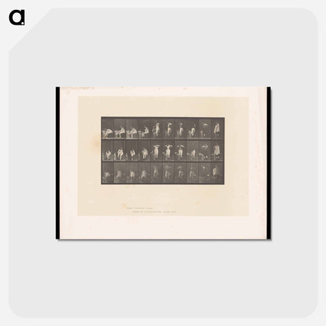 アートポストカード-Woman Dressing
 - エドワード マイブリッジ Postcard.