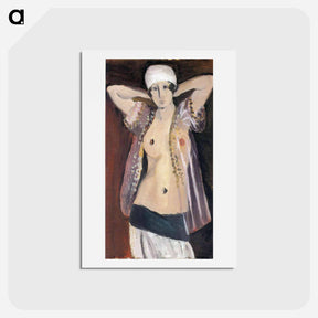 アートポストカード-The Transparent Blouse - アンリ マティス Postcard.