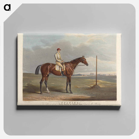 アートパネル-Spaniel. The Winner of the Derby Stakes at Epsom
 - イェール大学アートギャラリー Canvas.