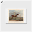 アートポストカード-Spaniel. The Winner of the Derby Stakes at Epsom
 - イェール大学アートギャラリー Postcard.