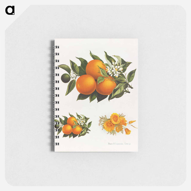 アートメモ帳-Oranges and Poppies
 - ボストン公共図書館 Memo.