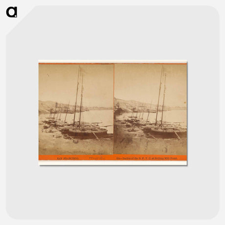 アートポストカード-Yachts of the S.F.Y.C. at Rolling Mill Point
 - エドワード マイブリッジ Postcard.