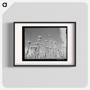 アートポスター-Onion Plants Gone to Seed
 - ラッセル リー Poster.