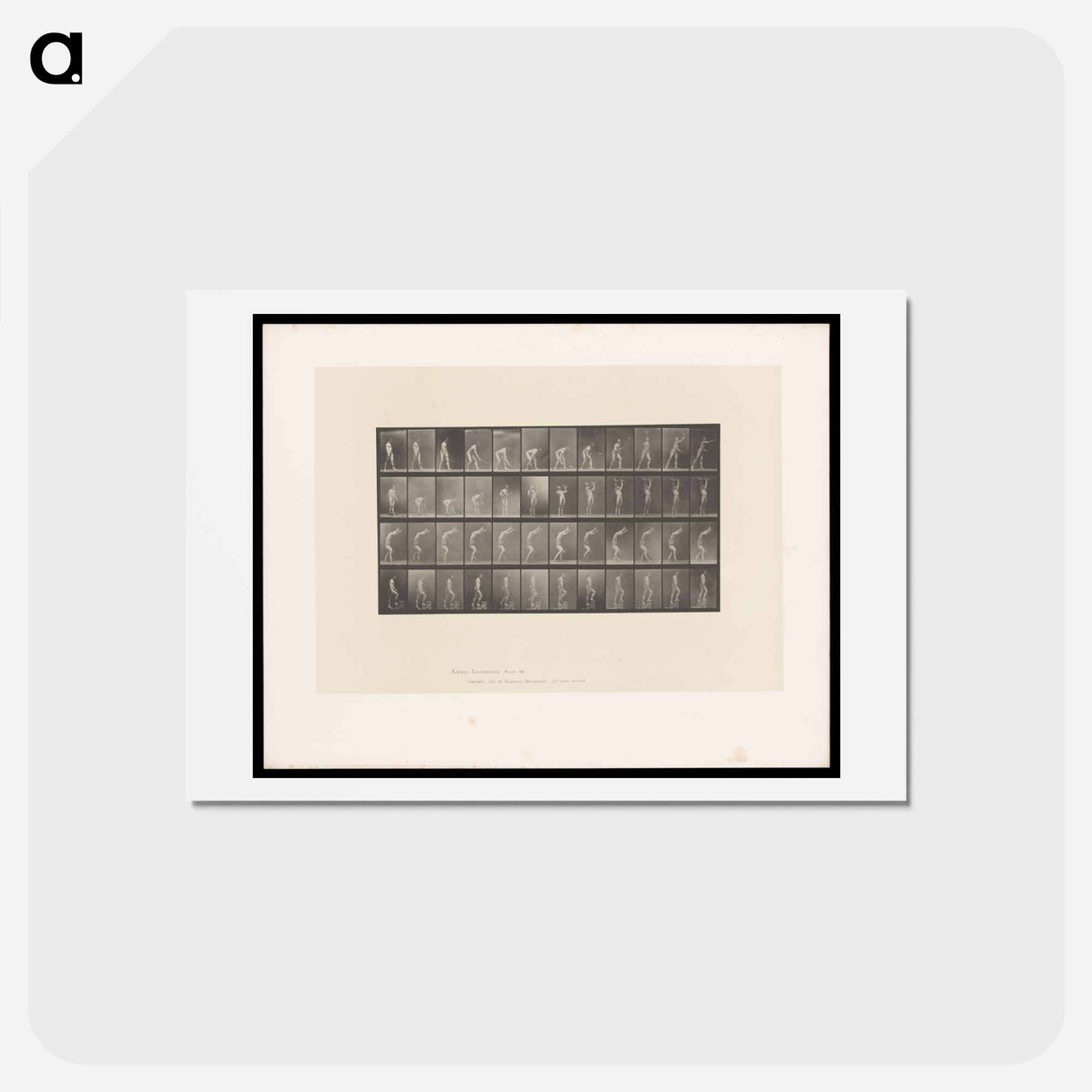 アートポストカード-Naked Man in Motion
 - エドワード マイブリッジ Postcard.