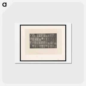 アートポストカード-Naked Man in Motion
 - エドワード マイブリッジ Postcard.
