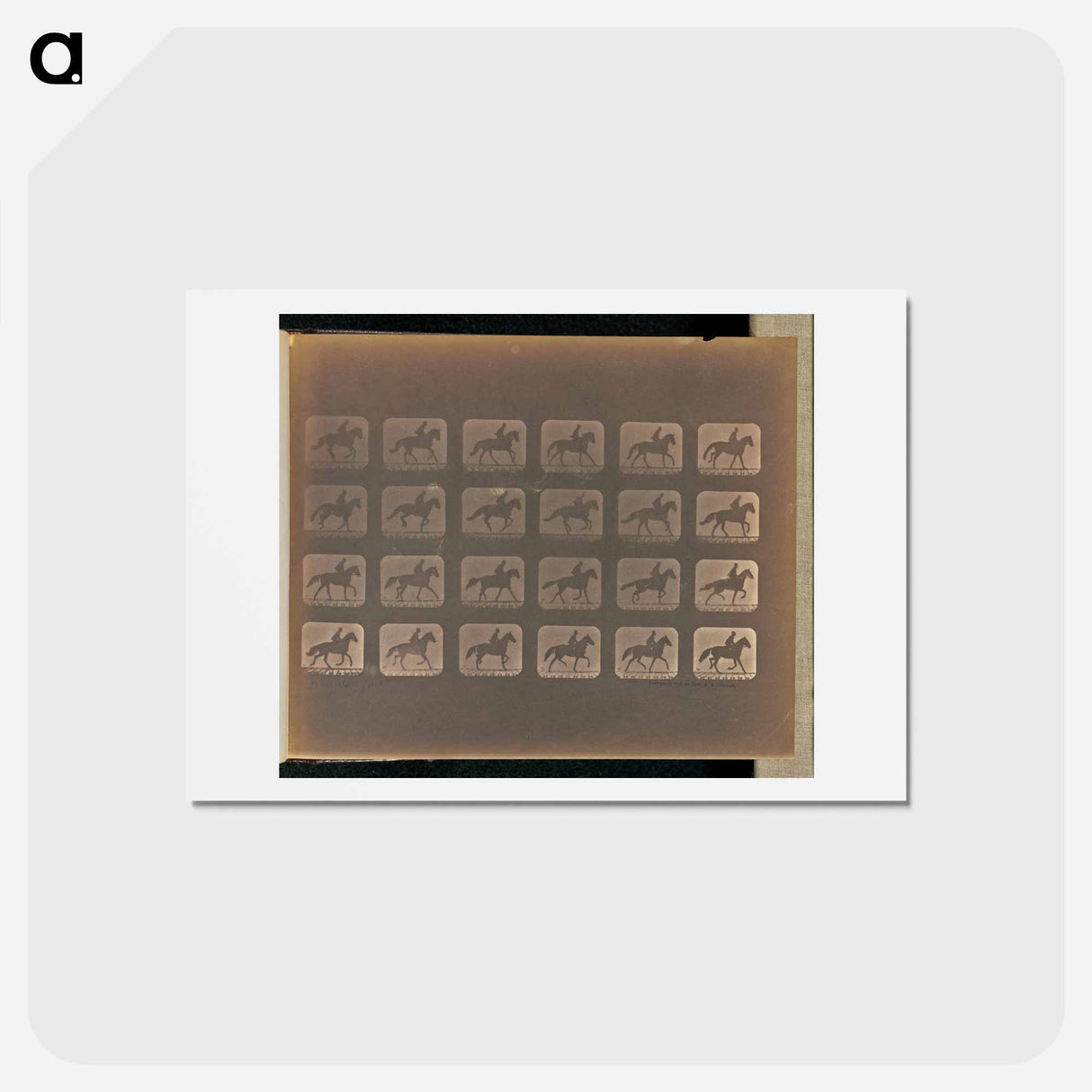 アートポストカード-Irregular Gait
 - エドワード マイブリッジ Postcard.