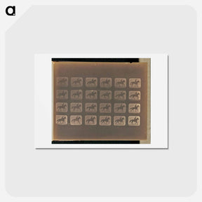 アートポストカード-Irregular Gait
 - エドワード マイブリッジ Postcard.
