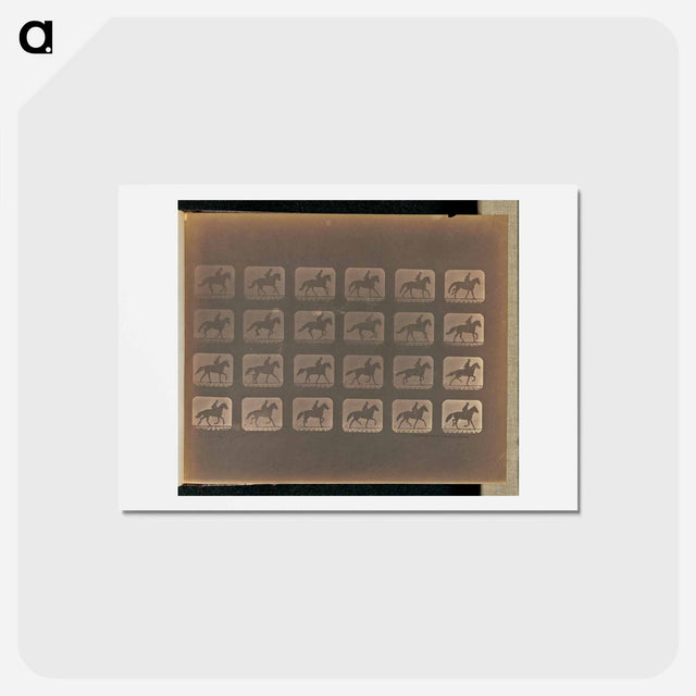 アートポストカード-Irregular Gait
 - エドワード マイブリッジ Postcard.