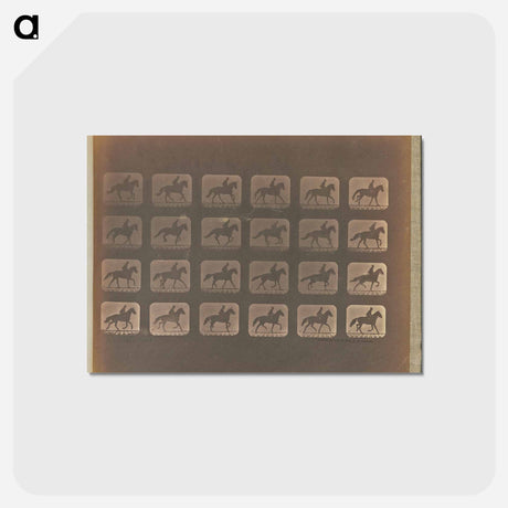 アートポストカード-Irregular Gait
 - エドワード マイブリッジ Postcard.