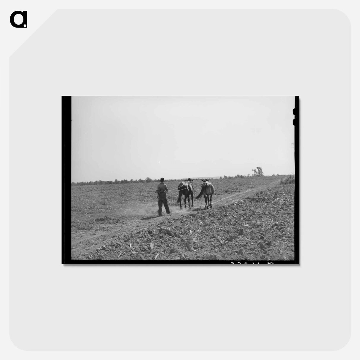 アートポストカード-Tenant Farmer's Son
 - ラッセル リー Postcard.