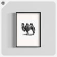 アートポスター-Camel Engraving
 - 大英図書館 Poster.