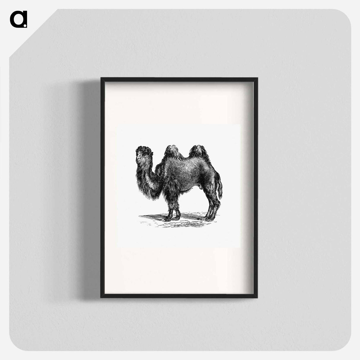 アートポスター-Camel Engraving
 - 大英図書館 Poster.