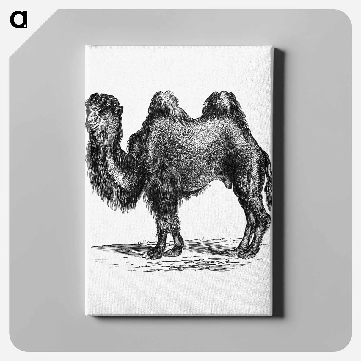 アートパネル-Camel Engraving
 - 大英図書館 Canvas.