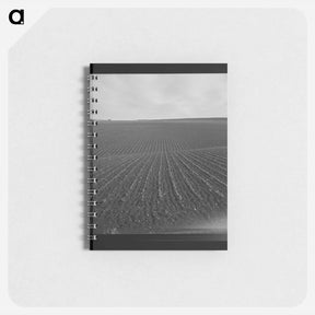 アートメモ帳-Untitled photo - ドロテア ラング Memo.