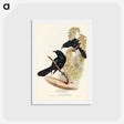 アートポストカード-Keraudren's Crow-Shrike
 - ジョン グールド Postcard.