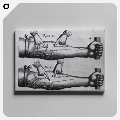 アートパネル-Circulation of the Blood
 - 国立医学図書館 Canvas.