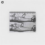 アートメモ帳-Circulation of the Blood
 - 国立医学図書館 Memo.