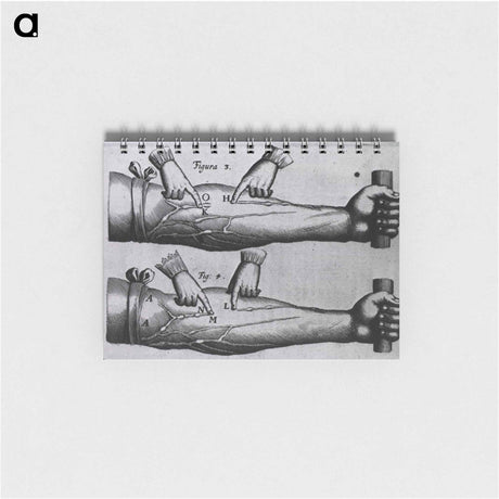 アートメモ帳-Circulation of the Blood
 - 国立医学図書館 Memo.