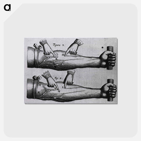 アートポストカード-Circulation of the Blood
 - 国立医学図書館 Postcard.