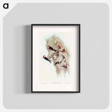 Fairy Martin
 - オーストラリアの鳥 Poster.