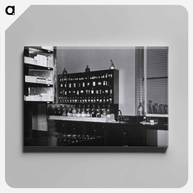 アートパネル-Pharmacy, U.S. Air Force Hospital, Travis Air Force Base, Fairfield, CA
 - 国立医学図書館 Canvas.
