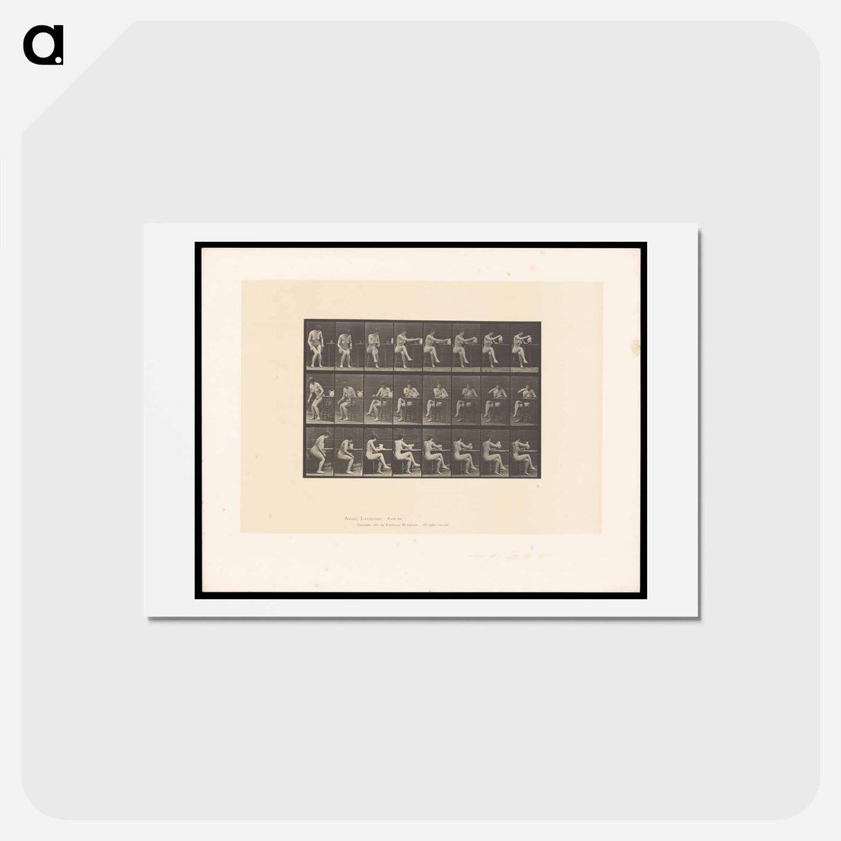 アートポストカード-Water Pouring
 - エドワード マイブリッジ Postcard.