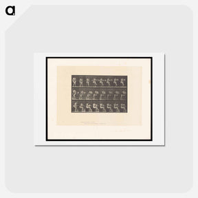 アートポストカード-Water Pouring
 - エドワード マイブリッジ Postcard.