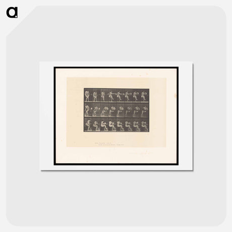 アートポストカード-Water Pouring
 - エドワード マイブリッジ Postcard.