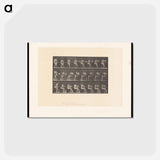 アートポストカード-Water Pouring
 - エドワード マイブリッジ Postcard.