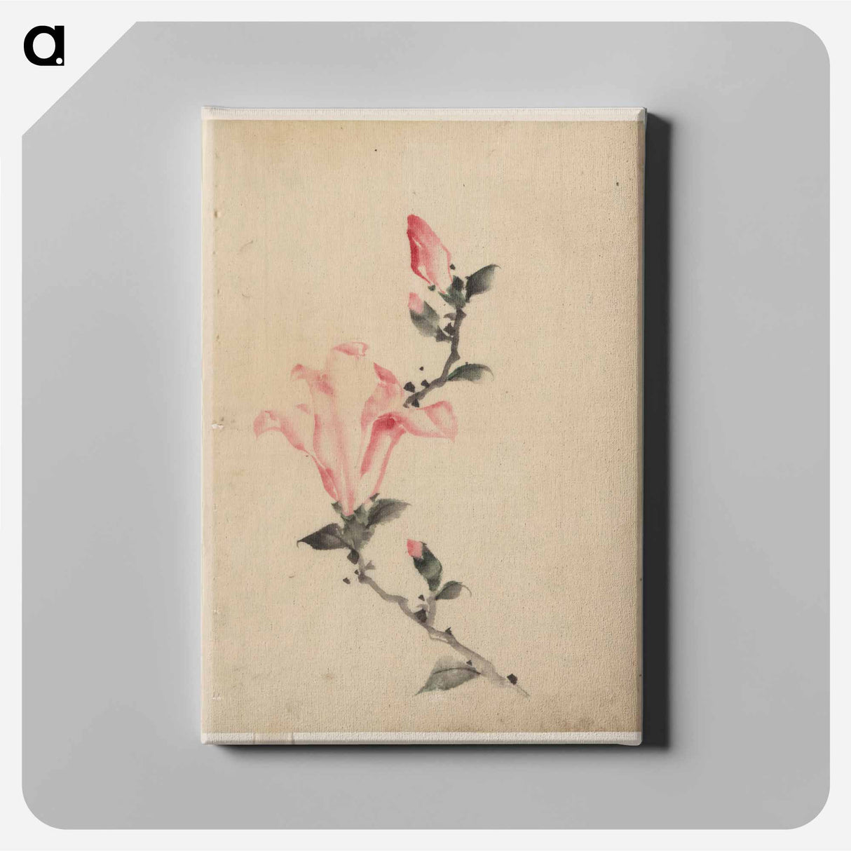 Large Pink Blossom on a Stem with Three Additional Buds - 葛飾 北斎 Canvas.