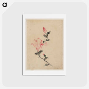 アートポストカード-Large Pink Blossom on a Stem with Three Additional Buds - 葛飾 北斎 Postcard.