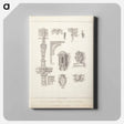 アートパネル-Specimens of the Ornamental Carvings and c. in the Chapel: Lambeth Palace
 - イェール大学アートギャラリー Canvas.