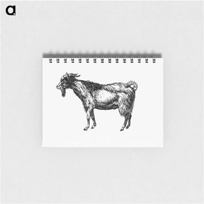 アートメモ帳-Goat from Portuguese Expedition To Muatianvua
 - 大英図書館 Memo.