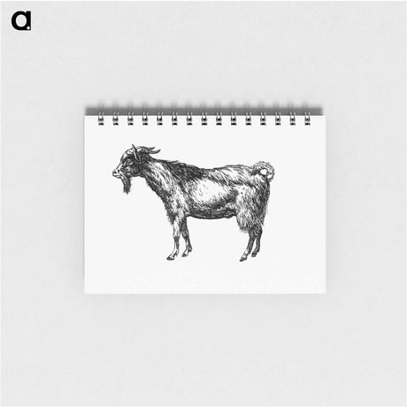 アートメモ帳-Goat from Portuguese Expedition To Muatianvua
 - 大英図書館 Memo.