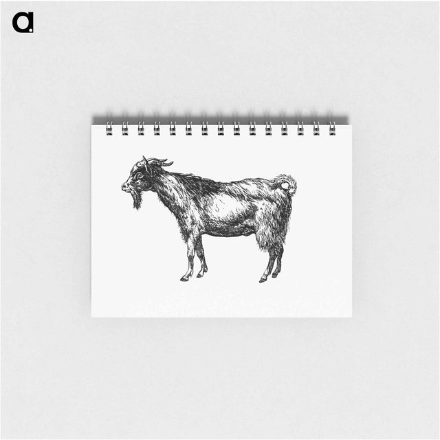 アートメモ帳-Goat from Portuguese Expedition To Muatianvua
 - 大英図書館 Memo.