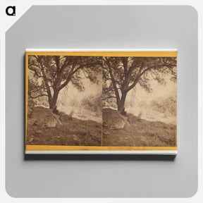 アートパネル-Yosemite Studies
 - エドワード マイブリッジ Canvas.