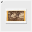 アートポストカード-Yosemite Studies
 - エドワード マイブリッジ Postcard.