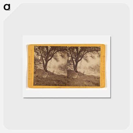 アートポストカード-Yosemite Studies
 - エドワード マイブリッジ Postcard.