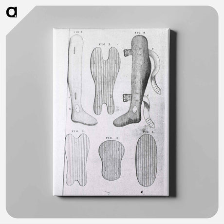 アートパネル-Orthopedic Splints or Braces
 - 国立医学図書館 Canvas.