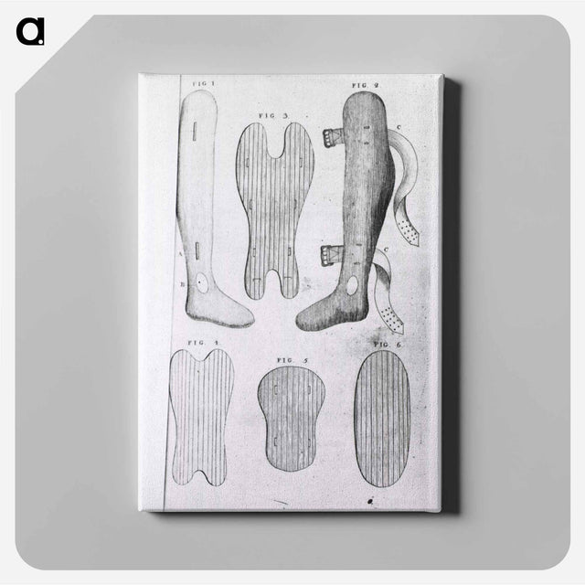 アートパネル-Orthopedic Splints or Braces
 - 国立医学図書館 Canvas.