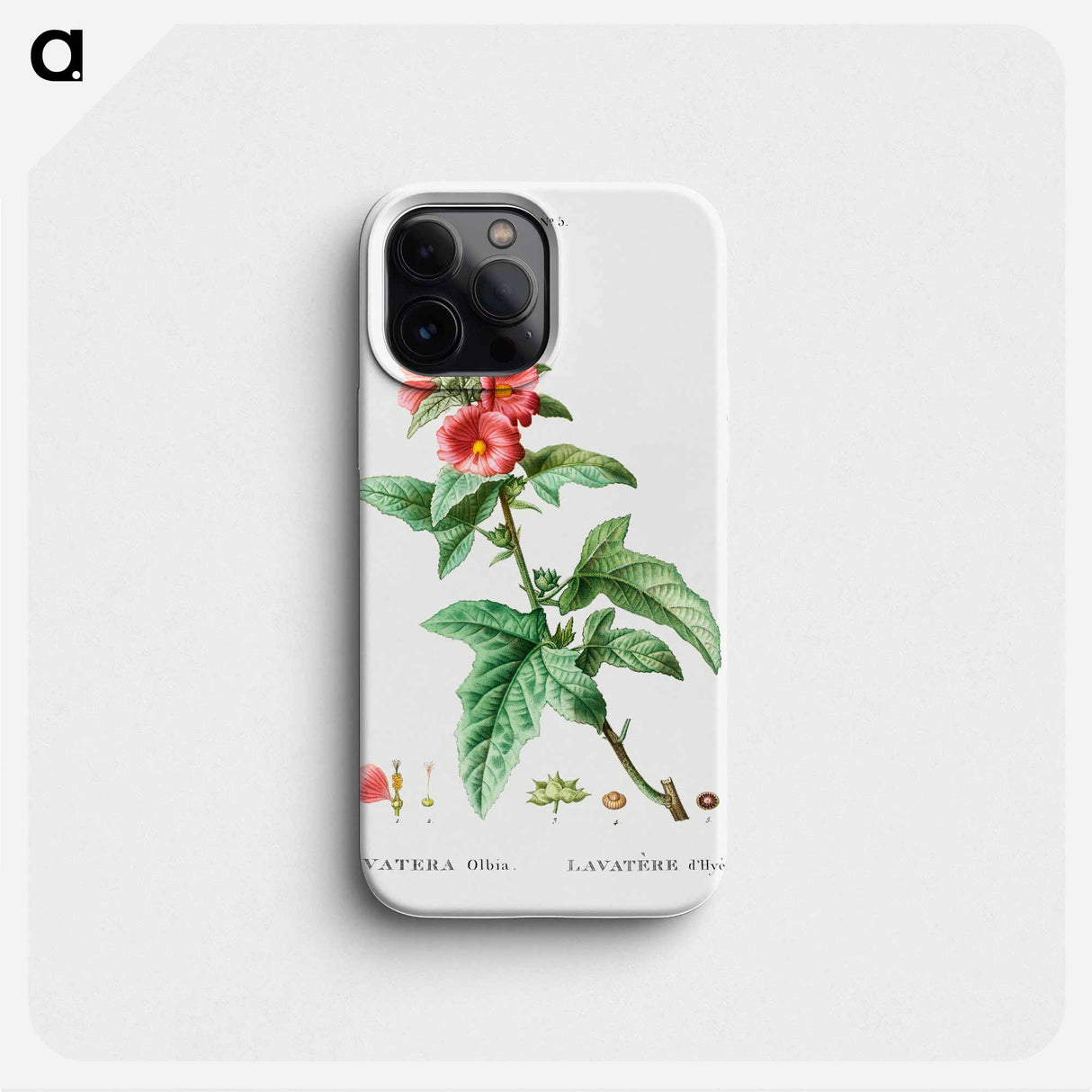 Tree mallow - Pierre Joseph Redouté Phone Case.